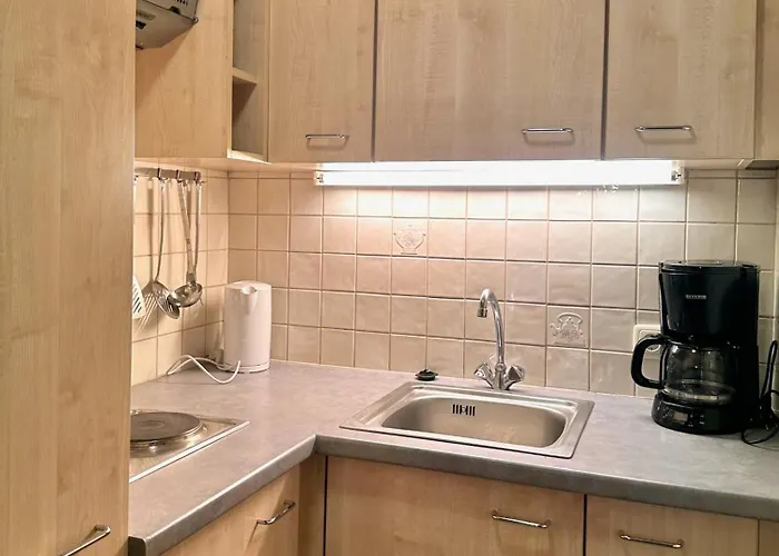 Max & Moritz Apartment Kirchberg in Tirol